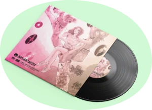 Vinyl record packaging